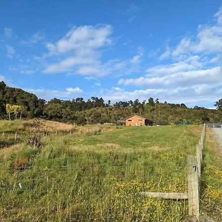 Enchanted Retreat In Greymouth Shared With Host Zewnętrze zdjęcie